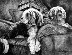 drawing of dogs